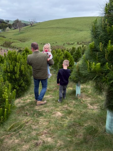 Foster Christmas Tree Farm